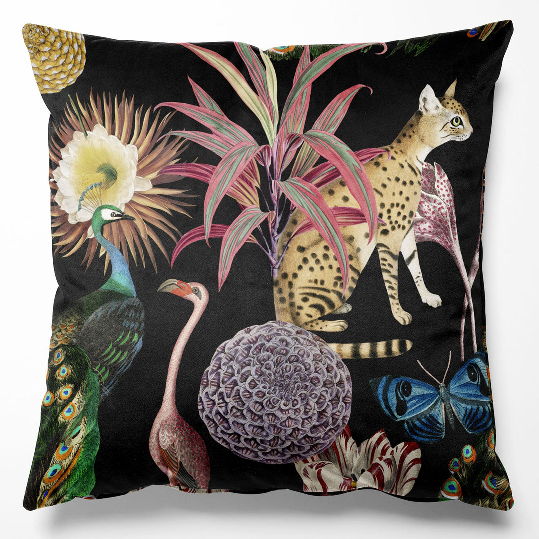Les Plumes Black Cushion