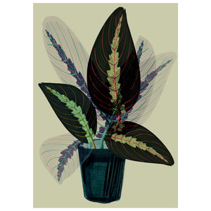 Rubber Plant Art Print - Mint